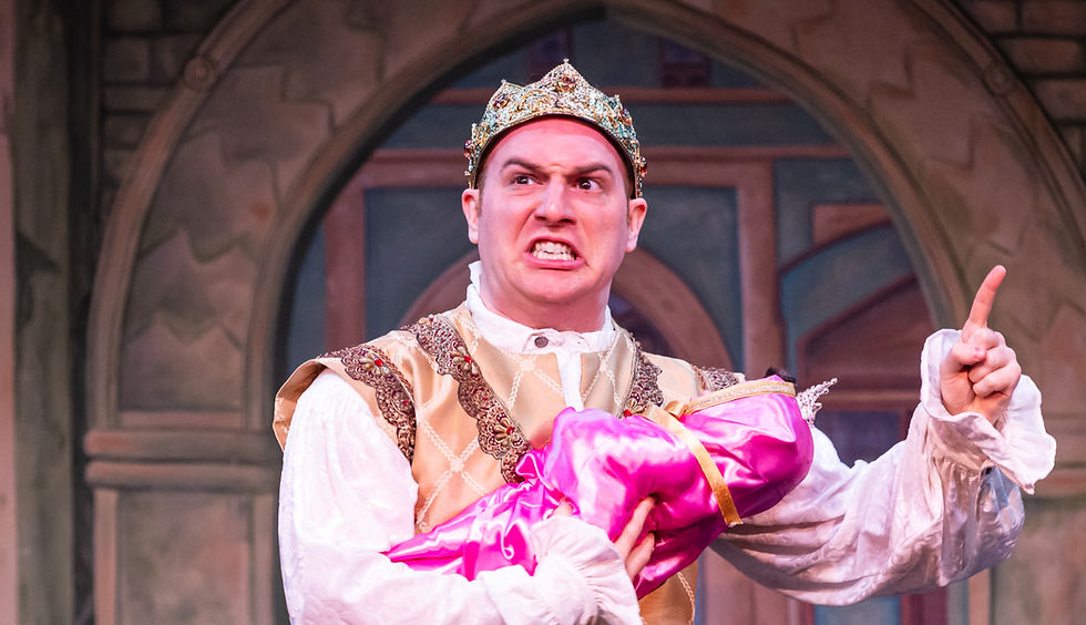 The King from Sleeping Beauty